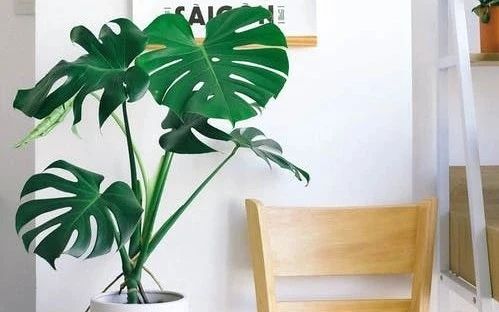 【裝修排雷】 別再收藏分享了，這10種裝修常識都是錯誤的！